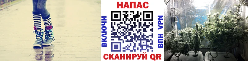 Купить наркоту Судогда ГАШ  Марихуана  Амфетамин  МЕФ 