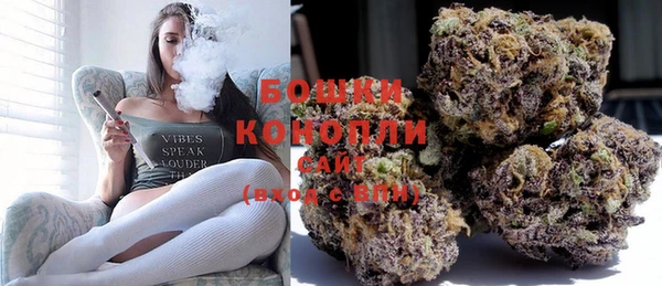 прущие крисы Сосновка