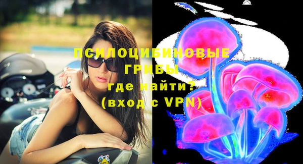 прущие крисы Сосновка