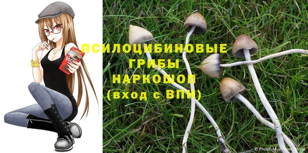 прущие крисы Сосновка